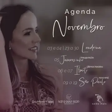 Minha agenda de Trabalho de Novembro 2020